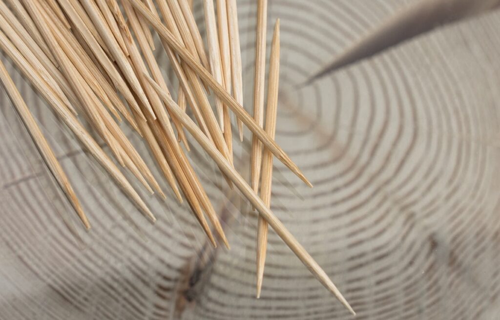 The Hidden History of Toothpicks: From Ancient Implements to Modern Must-Haves